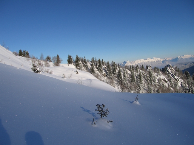 03 - autour de Super Collet BELLEDONNE 027.jpg